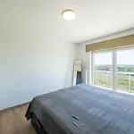 Pearl - 0504 + Box 12 Middelkerke